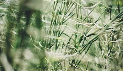 如何亲手制作吉祥护身符