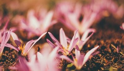 如何用自己的双手制作一个好运护身符