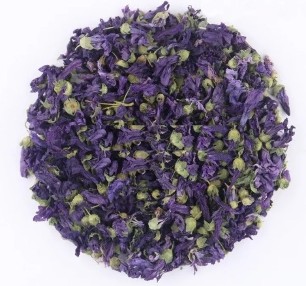 干燥花朵紫罗兰